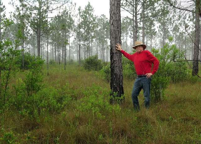 Американець, який висадив 8 млн дерев і врятував знищений ліс_4