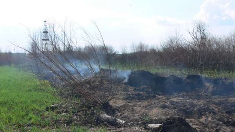 На Полтавщині вкотре ліквідували горіння торф’яників