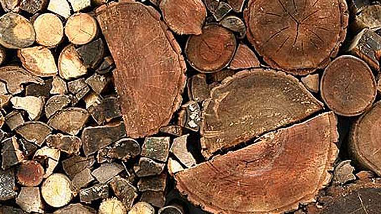 Співробітники ДАІ затримали ще одну незаконну партію деревини, значно більшу