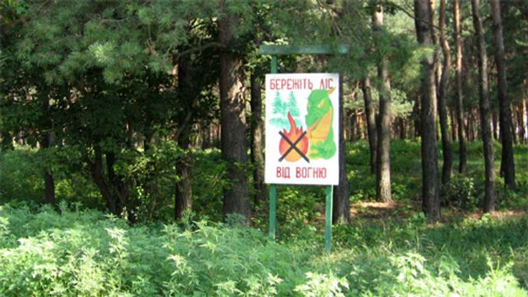 Близько 11 млн в рік потрібно на утримання кожного лісового господарства Полтавщини