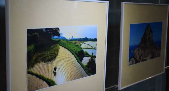 У Полтаві відкрили виставку японського мистецтва_2