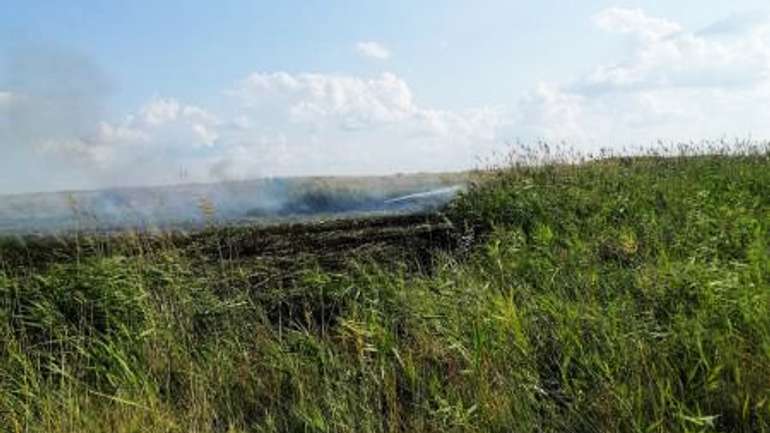 Вогонь знищив поле у Кременчуцькому районі