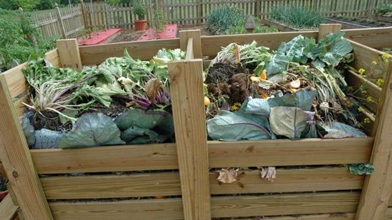 Миргородська влада закликала містян компостувати органічні відходи