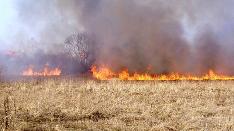 На Полтавщині досі палають поля