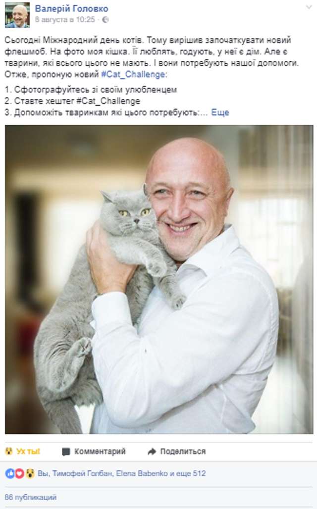 Фото з котами і оди в соцмережах: Полтавська ОДА викинула з бюджету понад 1,1 млн на свій піар_19