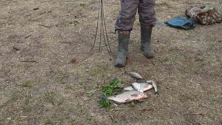 В одному з районів Полтавщини викрито грубі порушення правил рибальства