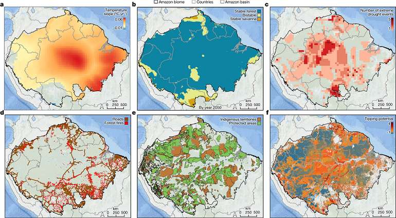 Ліси Амазонки незворотно зміняться до 2050 року — науковці