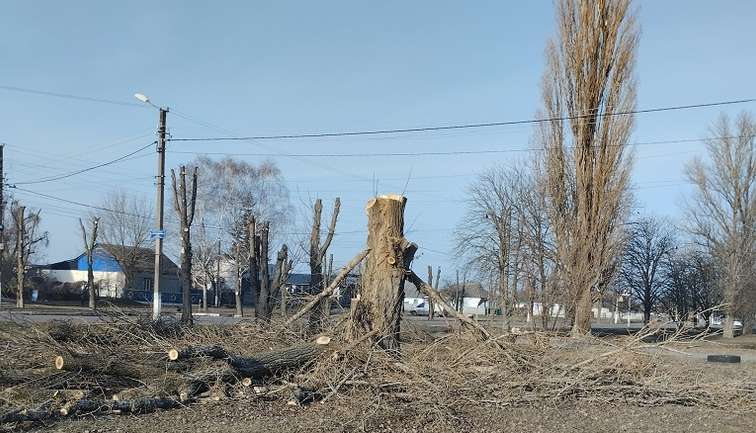Глобинські комунальники знищують дерева у громаді