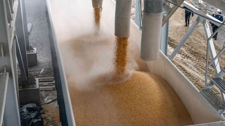Латвія збільшила імпорт зерна із РФ на 40%