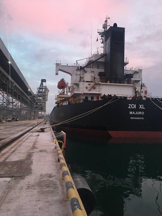 Ще одне судно з українським зерном відправлено до Лівії_4
