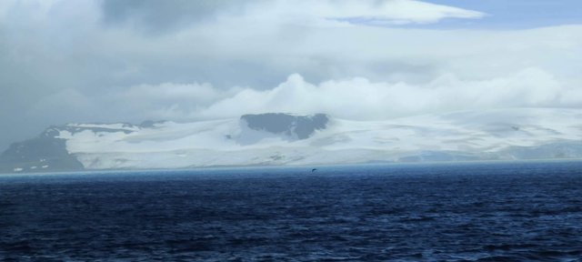 Український криголам «Ноосфера» досяг берегів Антарктиди_5