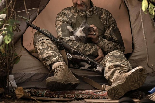 На позиціях десантників не знайдеш жодного кота чи пса, який був би «просто тварина»_3