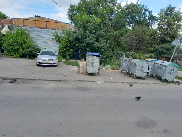 Справжні госпідари_3