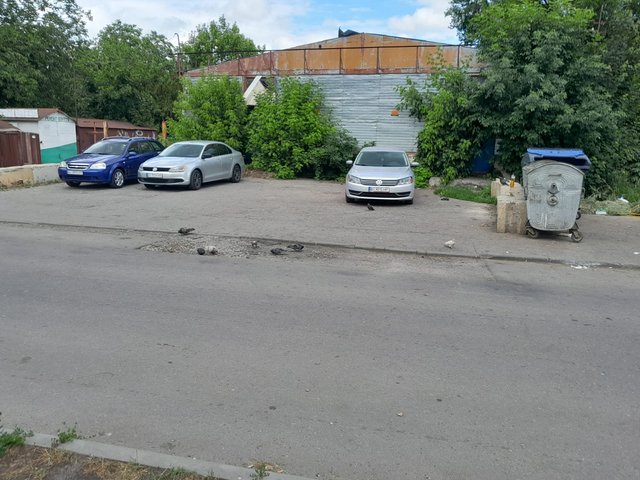 Справжні госпідари_4