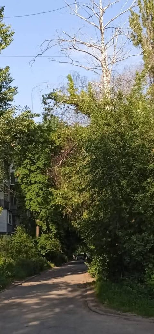 Коли намаганнями вшанувати прикривають власну неспроможність_7