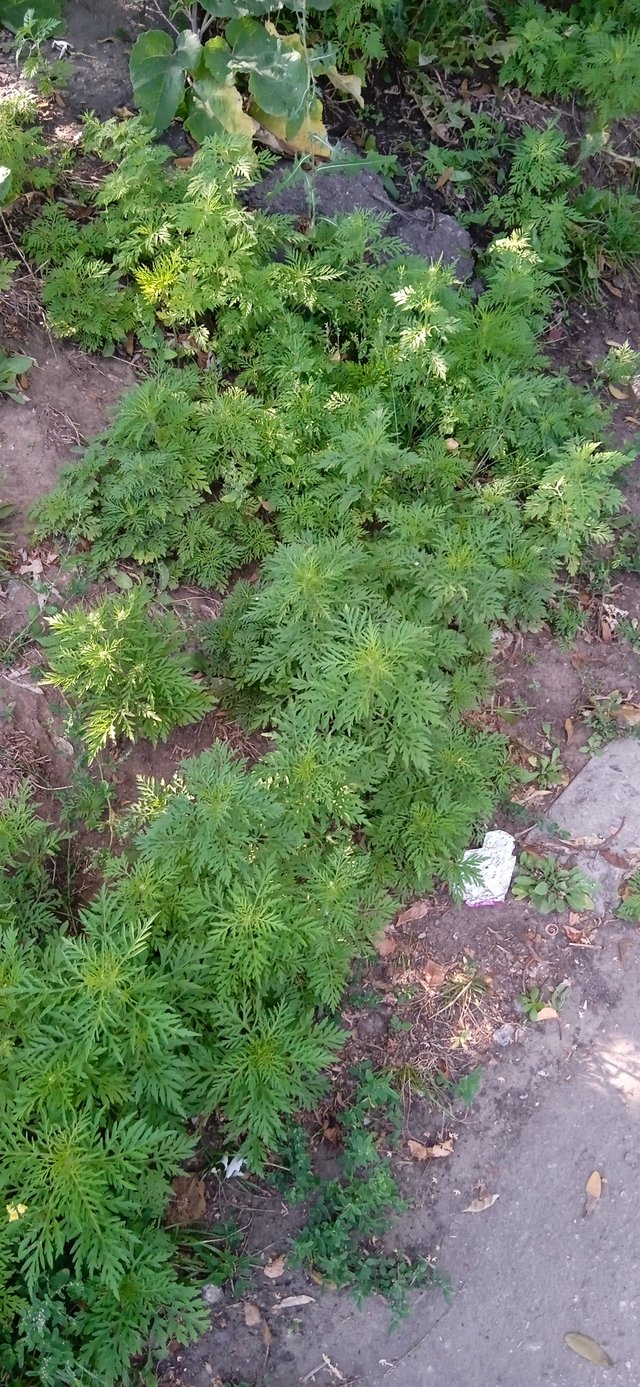 Коли намаганнями вшанувати прикривають власну неспроможність_5