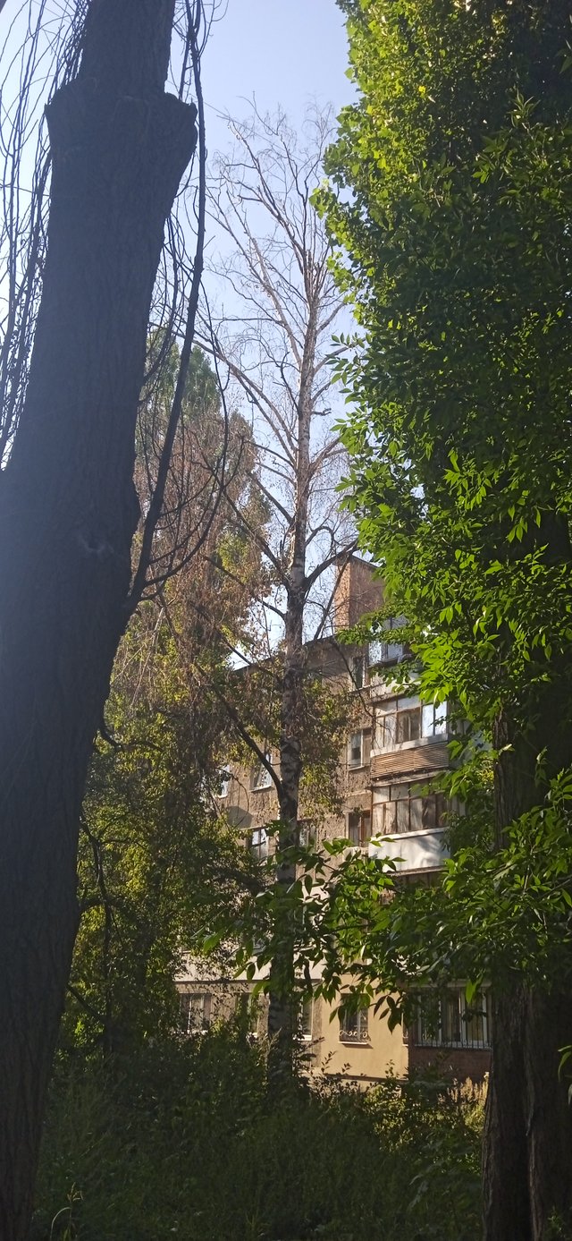 Неоголошена війна Полтавської міськради проти полтавців_1