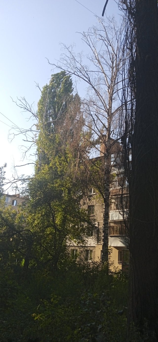 Неоголошена війна Полтавської міськради проти полтавців_5