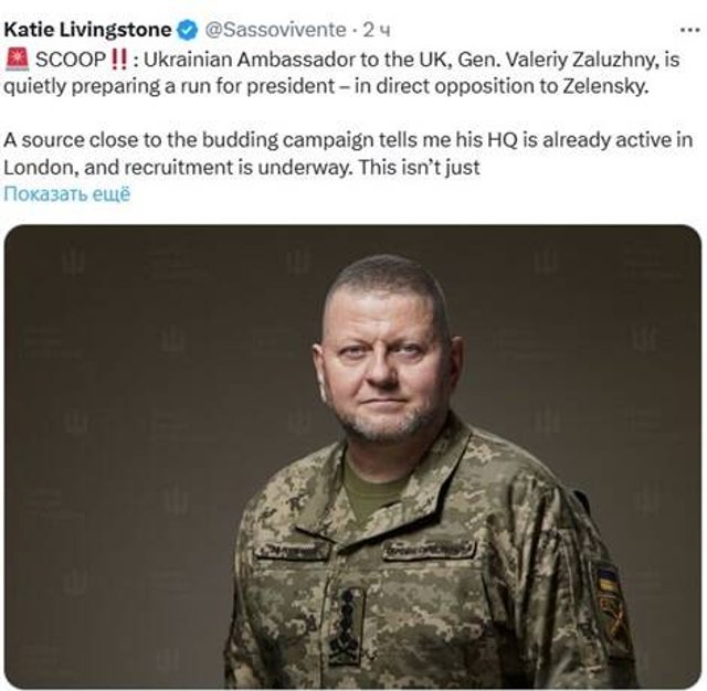 У США заявили, що Залужний таємно готується до президентських виборів_3