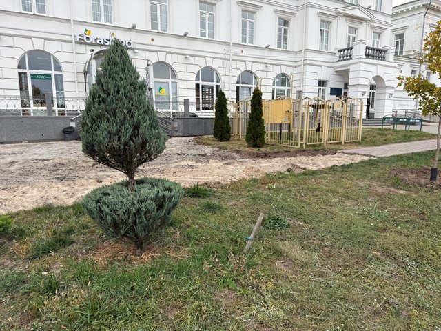 Ямщики вирішили забити на коней_2
