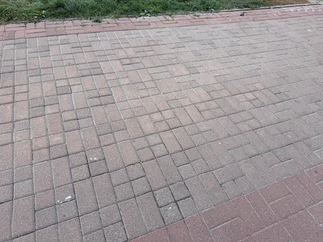 Ямщики вирішили забити на коней_4