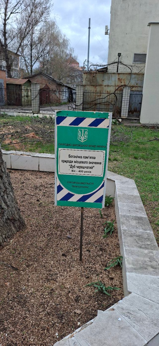 Екоцид у центрі Полтави_1