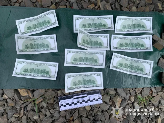 На Закарпатті затримали жінку за підозрою в торгівлі людьми_1