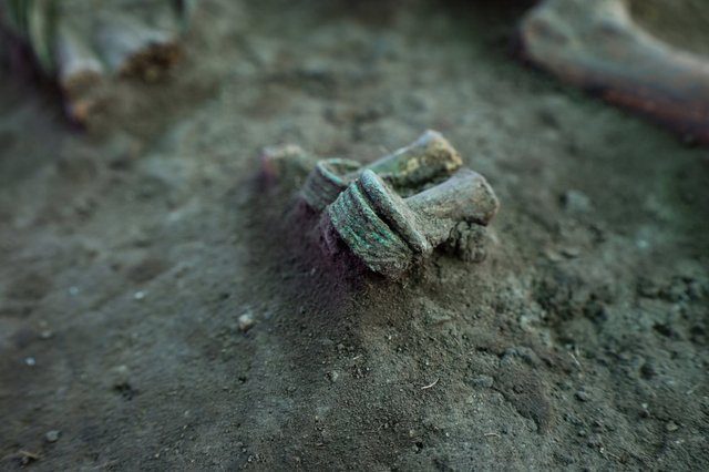 Нове відкриття на Київщині: жіноче поховання XI століття з могильника Острів_7