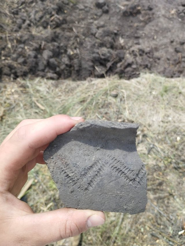 Глинська археологічна експедиція розпочала шістнадцятий польовий сезон_3