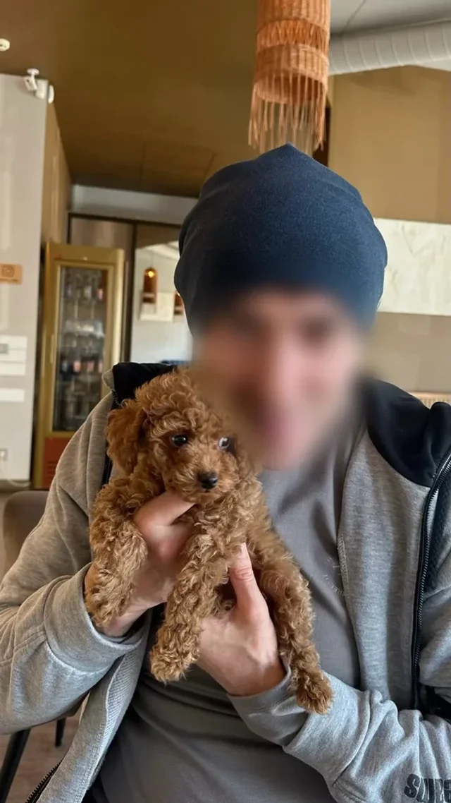 Жінки звинувачують учителя в домаганнях в той час, коли вони були дітьми_5