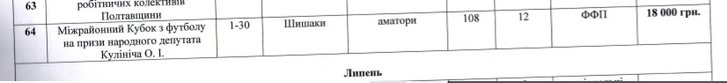 Федерація футболу Полтавщини витрачала бюджетні кошти на приватні клуби та піар народного депутата_4