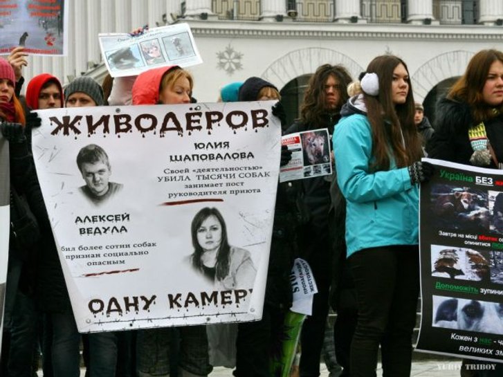 Мітинг у Києві, 2012 рік Мітинг у Києві, 2012 рік