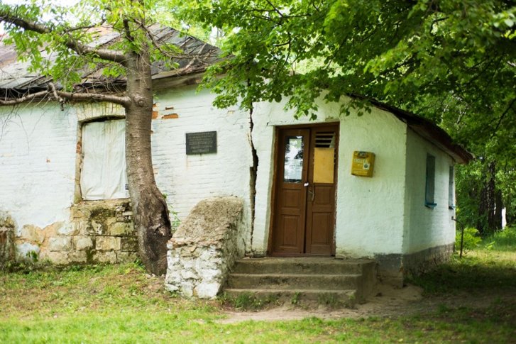 Літо 2017 року Літо 2017 року