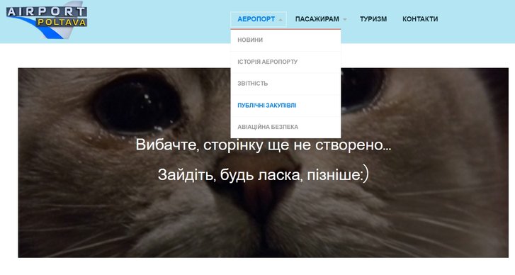 Депутат від «Слуги народу» наживався на фіктивному ремонті аеропорту «Полтава»_4