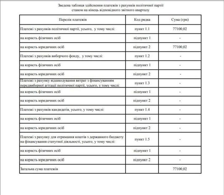 «Рідне місто» витратило на піар у Facebook більше, ніж отримало внесків_3