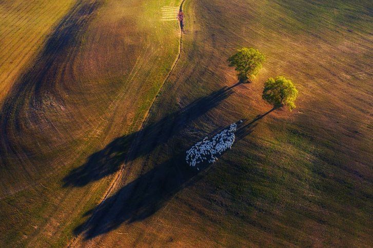 Визначено найкращі фото 2020 року, зняті з дрона_13