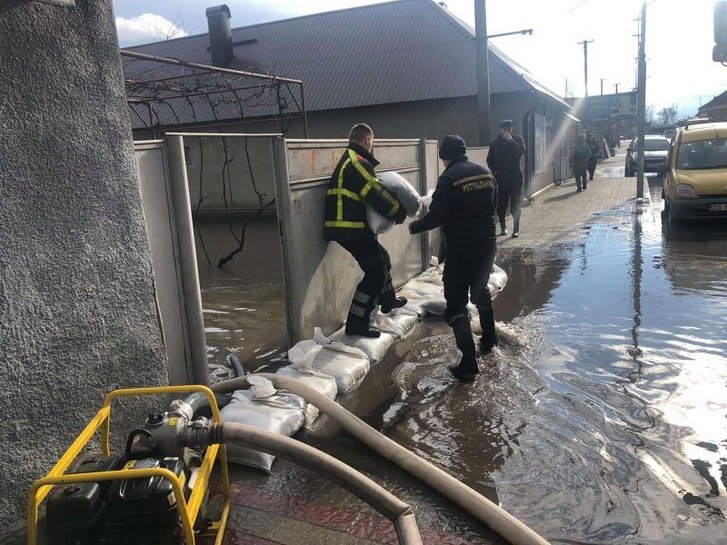 Закарпаття знову тоне, бо «слуга» Петров не зупинив вирубку лісів_1