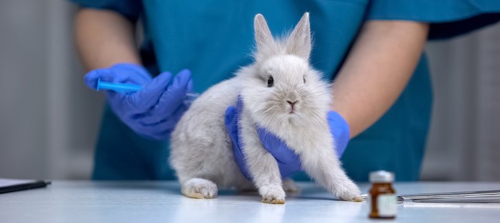 Українських військових хочуть перетворити на піддослідних Ковід-кроликів і зробити на них статистику_2