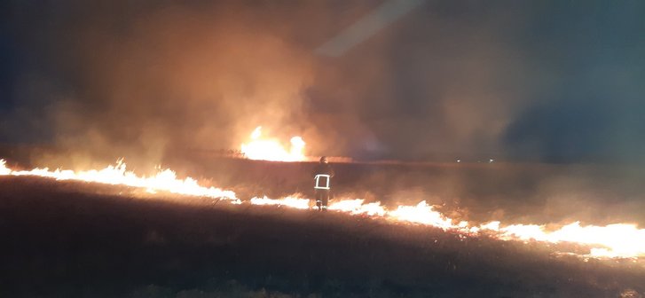 На Полтавщині за день вигоріло 14 га території_1
