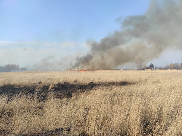 На Полтавщині за день вигоріло 14 га території_2