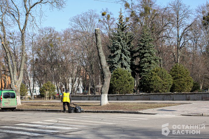 Радикальна обрізка дерев у Полтаві Радикальна обрізка дерев у Полтаві