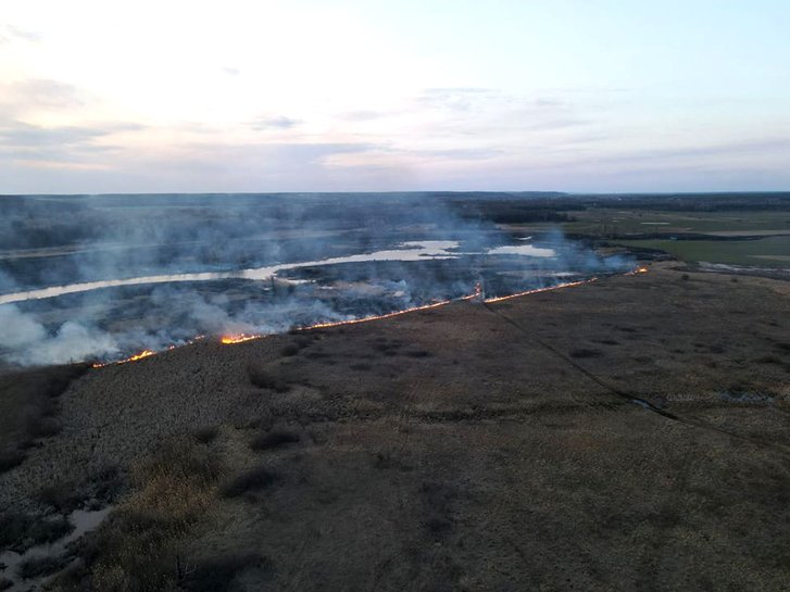 110 гектарів територій згоріли на Полтавщині за добу_1