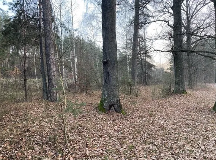 Крадіжка земель на Житомирщині_14