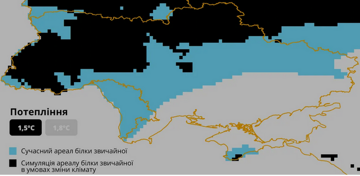В Україні дикі білки опинилися під загрозою зникнення_1