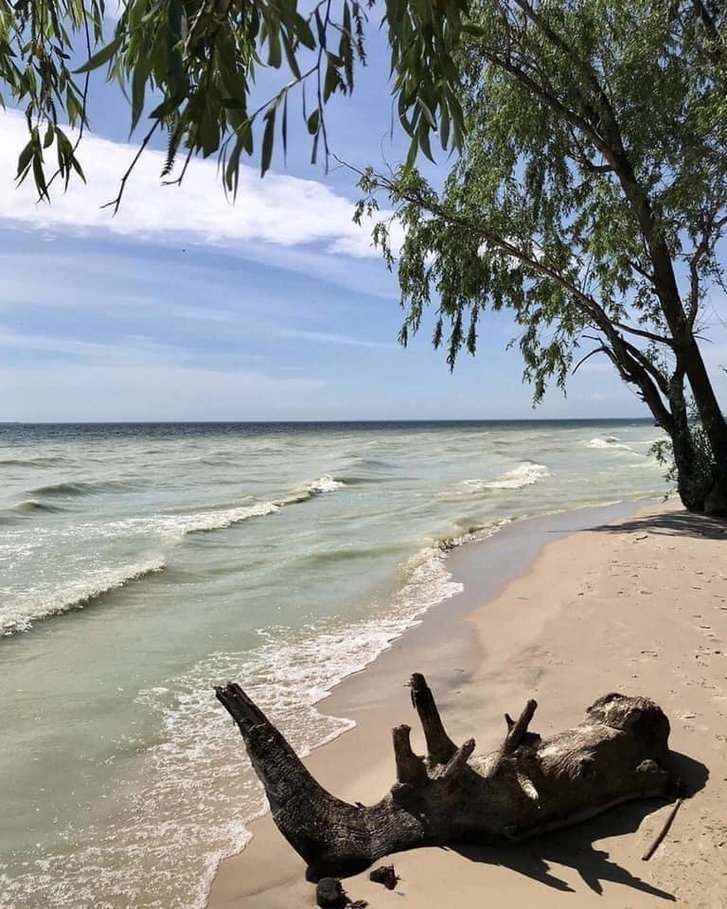Пивиха без відпочивальників схожа на тропічний курорт, — користувачі Facebook_2