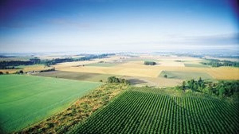 2.5 млн грн перерахували до бюджету полтавські землевпорядники