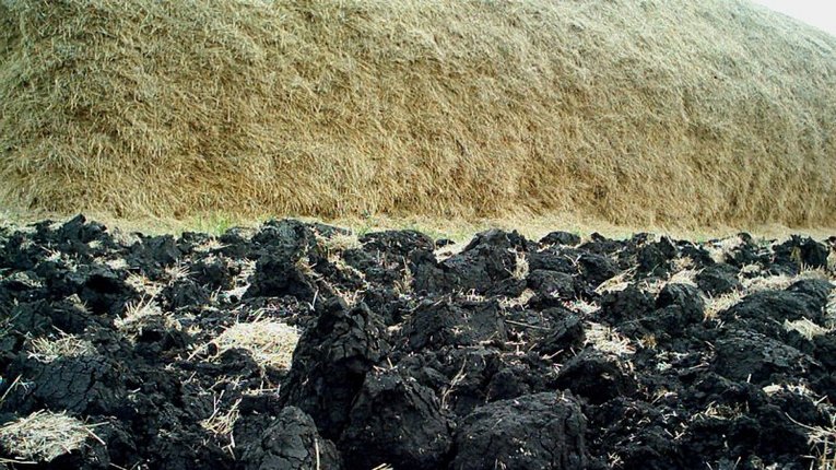15 млн га українських земель деградували – експерт