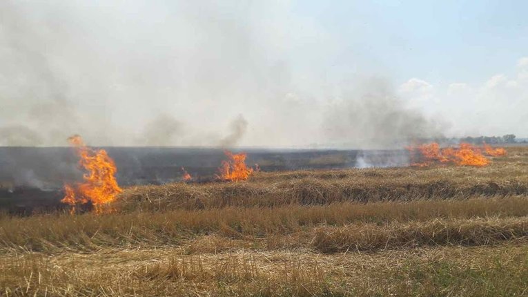 На Полтавщині горять поля