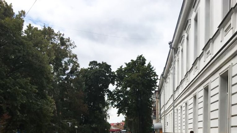 "Новації" озеленення Полтави — замість дерев або асфальт, або нічого