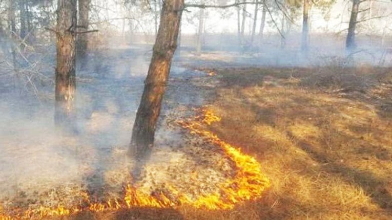 Полтавські надзвичайники попередили про високий рівень пожежної небезпеки